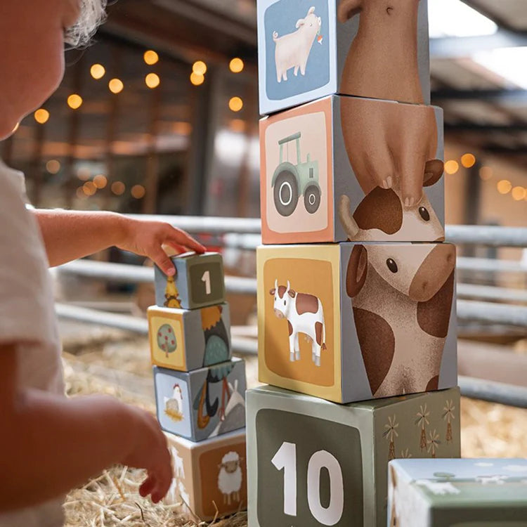 Building Blocks FSC cardboard - Little Farm
