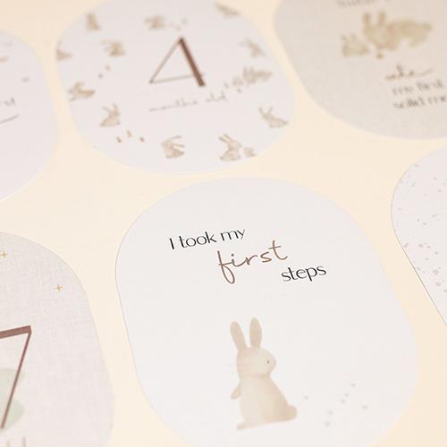 Baby Milestone cards Baby Bunny FSC