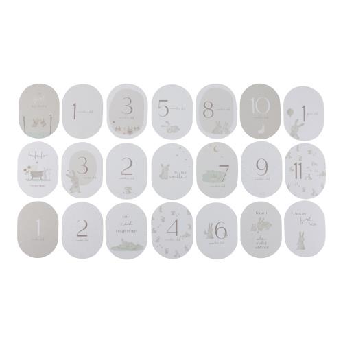 Baby Milestone cards Baby Bunny FSC