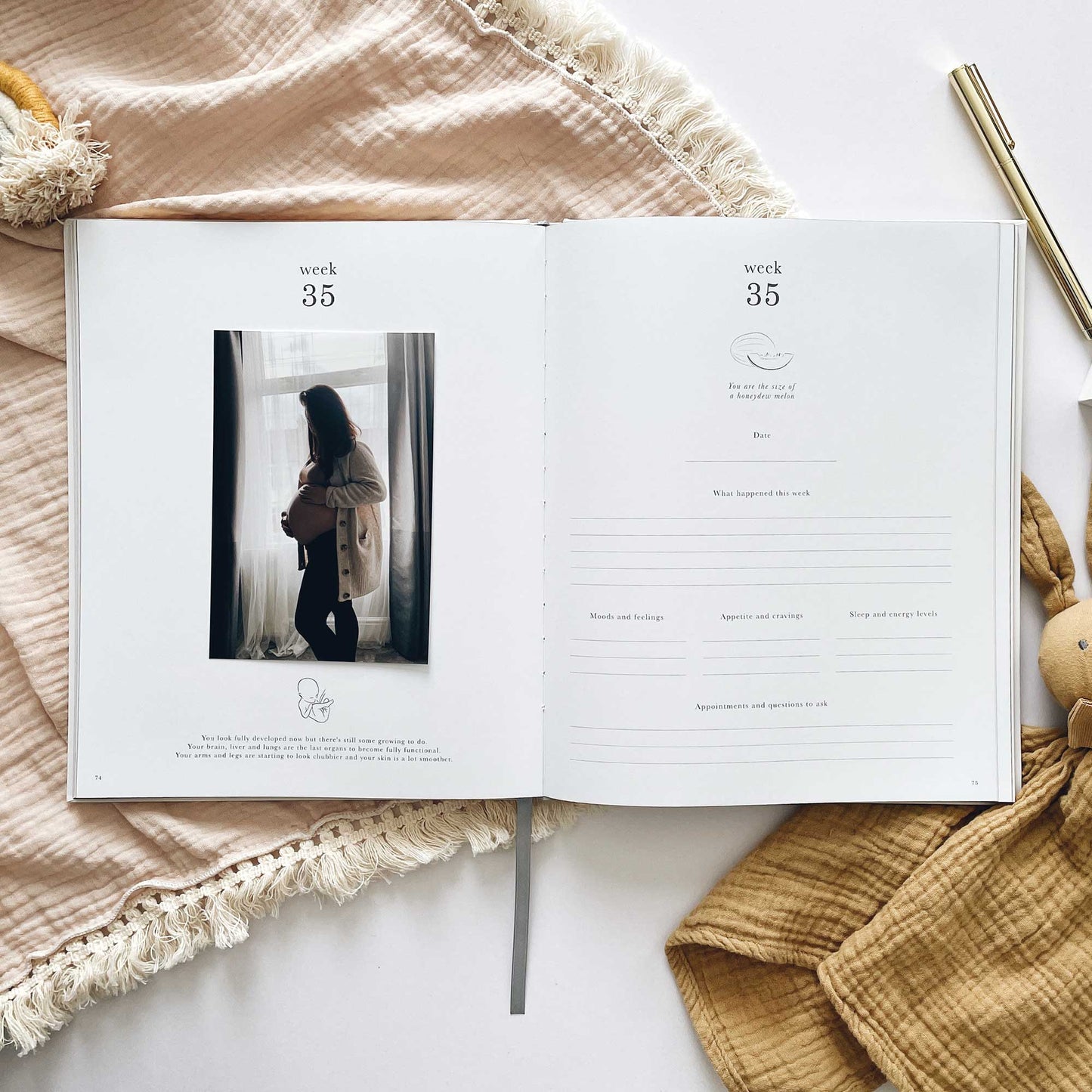 NEW - My Pregnancy Journal - White with Gilded Edges
