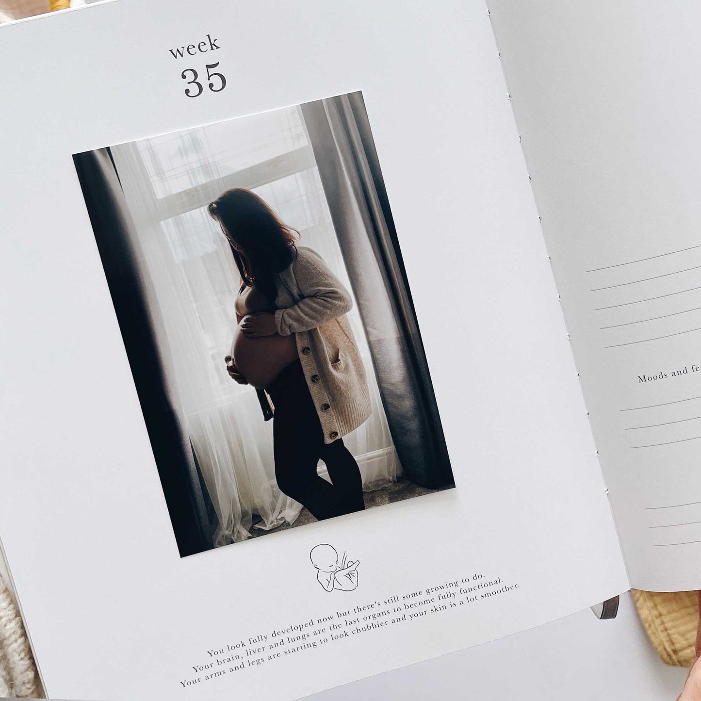 NEW - My Pregnancy Journal - White with Gilded Edges