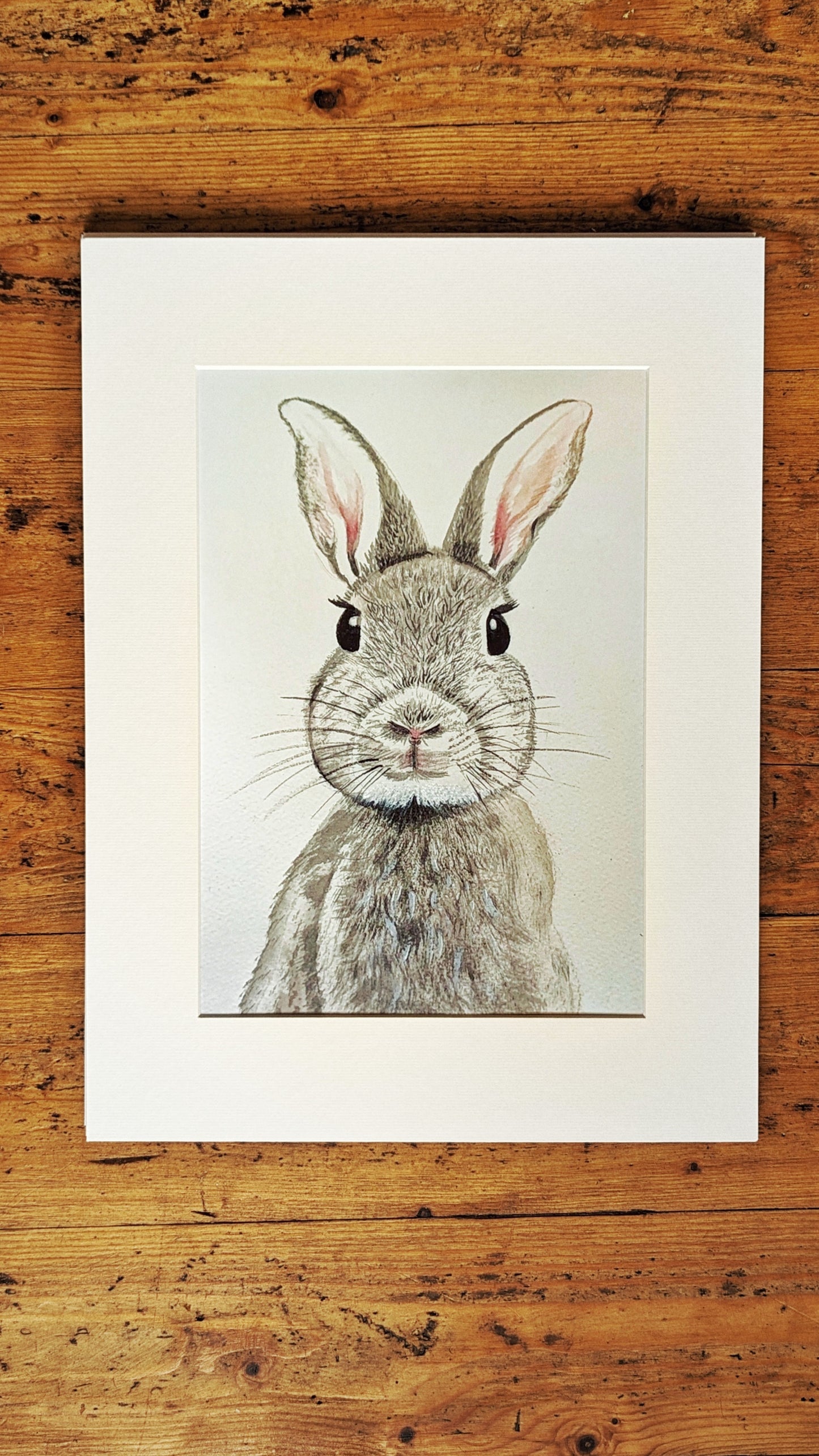 Wall Art - Bunny