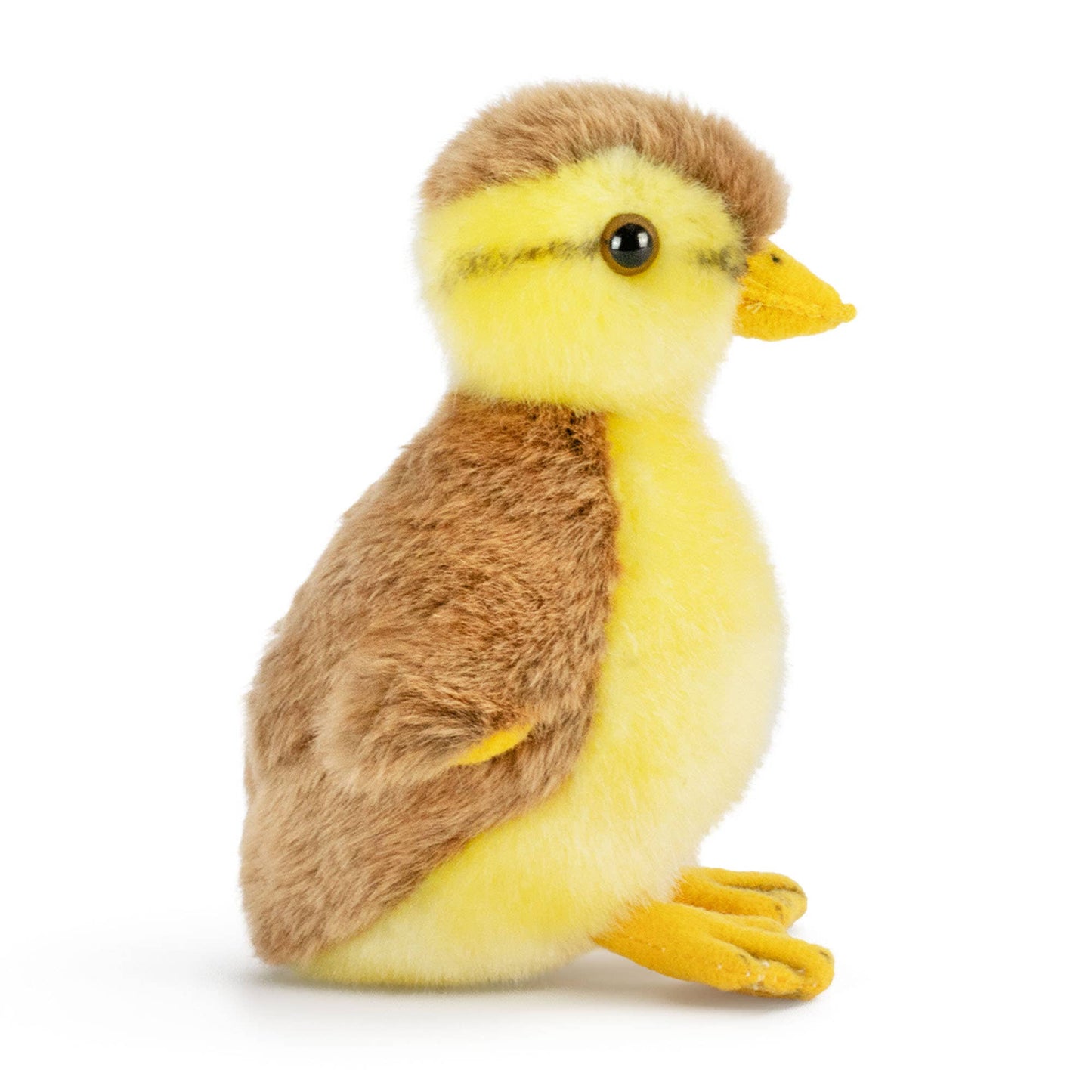 Living Nature Mallard Duckling