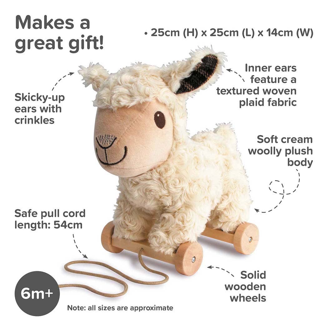 Lambert Pull Along Toy