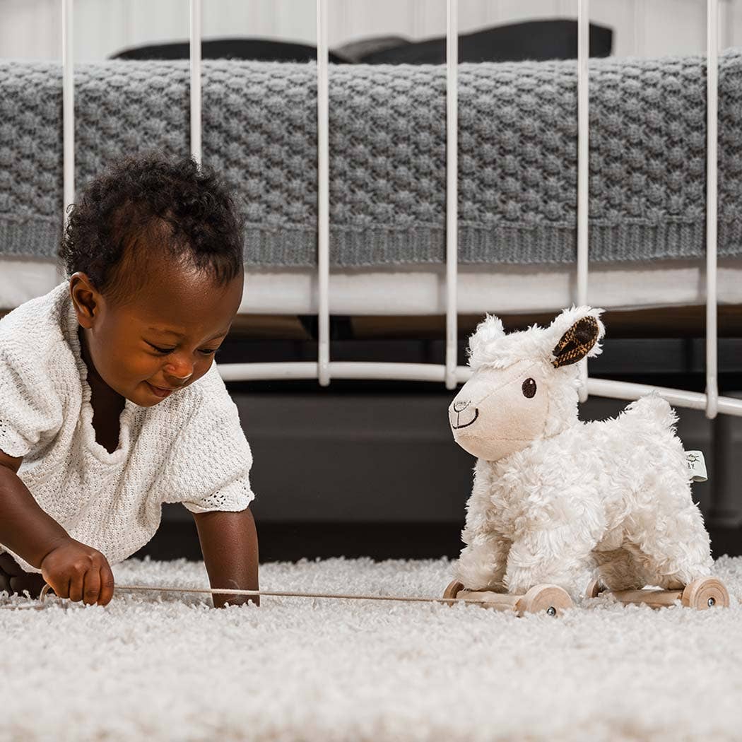 Lambert Pull Along Toy