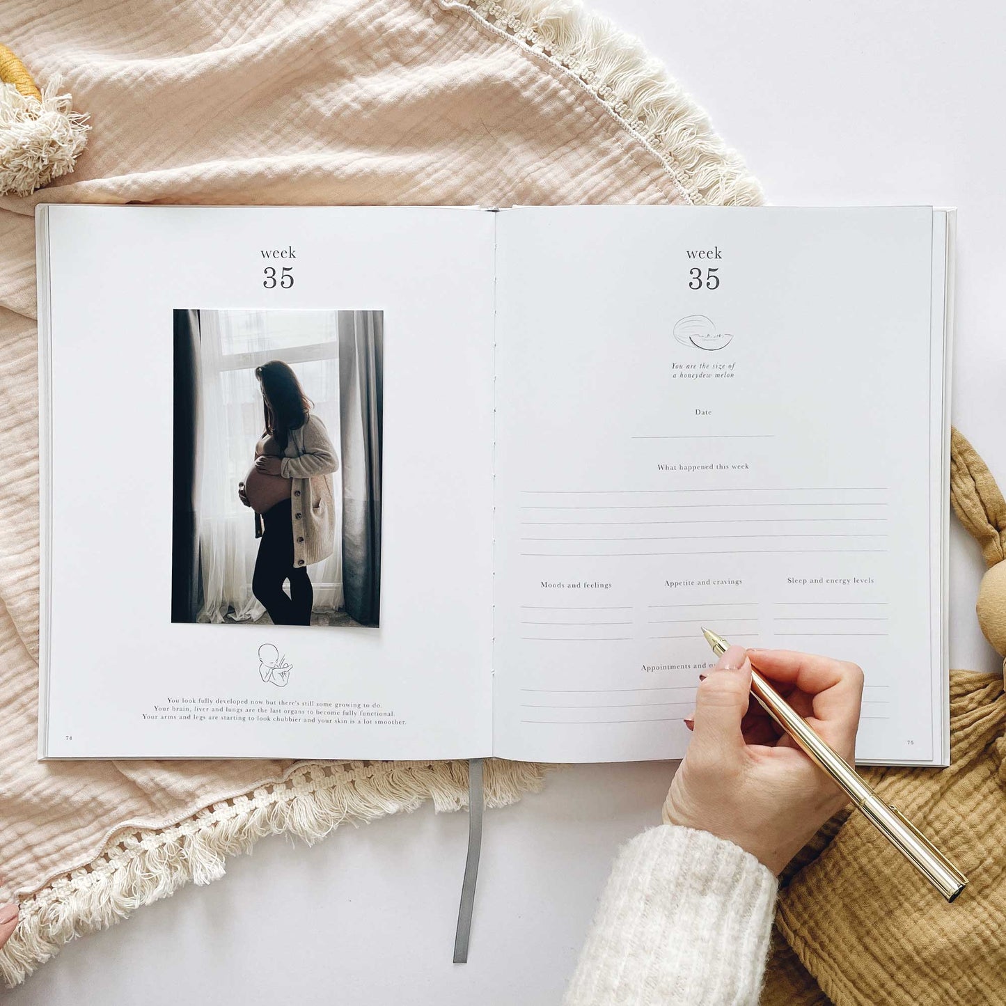 NEW - My Pregnancy Journal - White with Gilded Edges