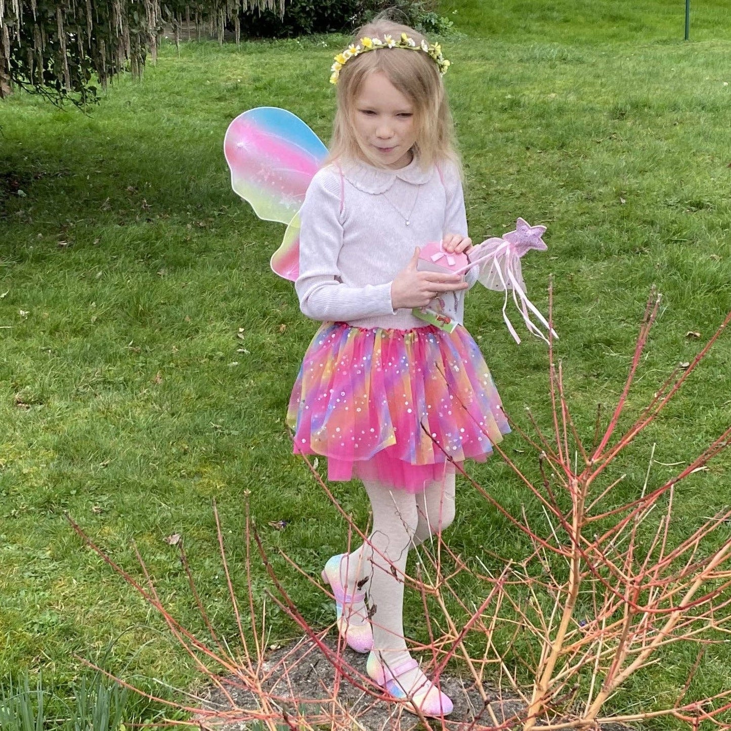 Rainbow Sparkle Flower Fairy Set