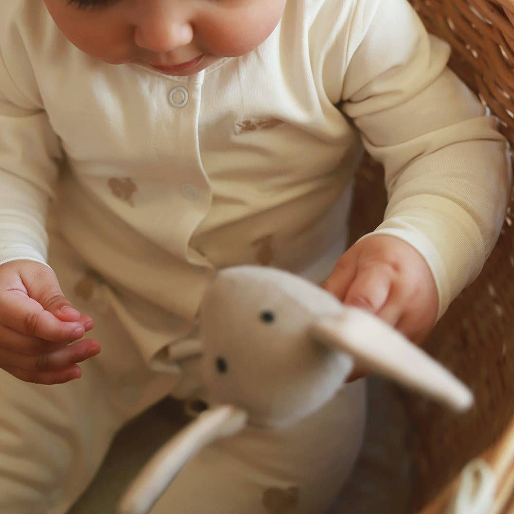 Embroidered Jersey Sleepsuit - Bunnies