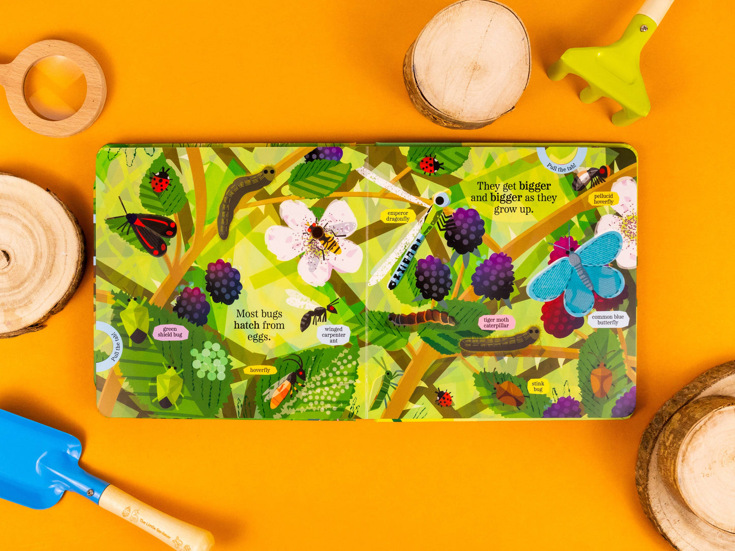 Brilliant Bugs and Minibeasts – My Nature Pull‑Tab Board Book