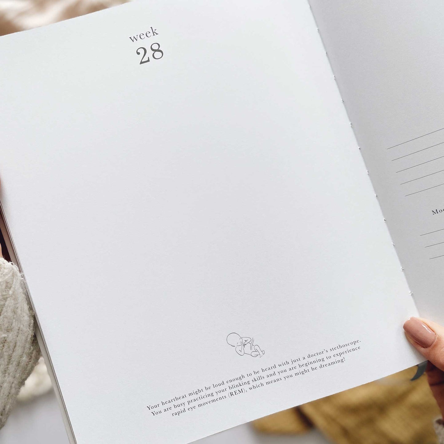 NEW - My Pregnancy Journal - White with Gilded Edges