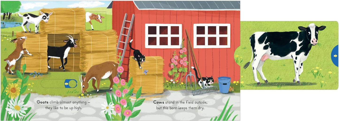 National Trust: Big Outdoors Farm