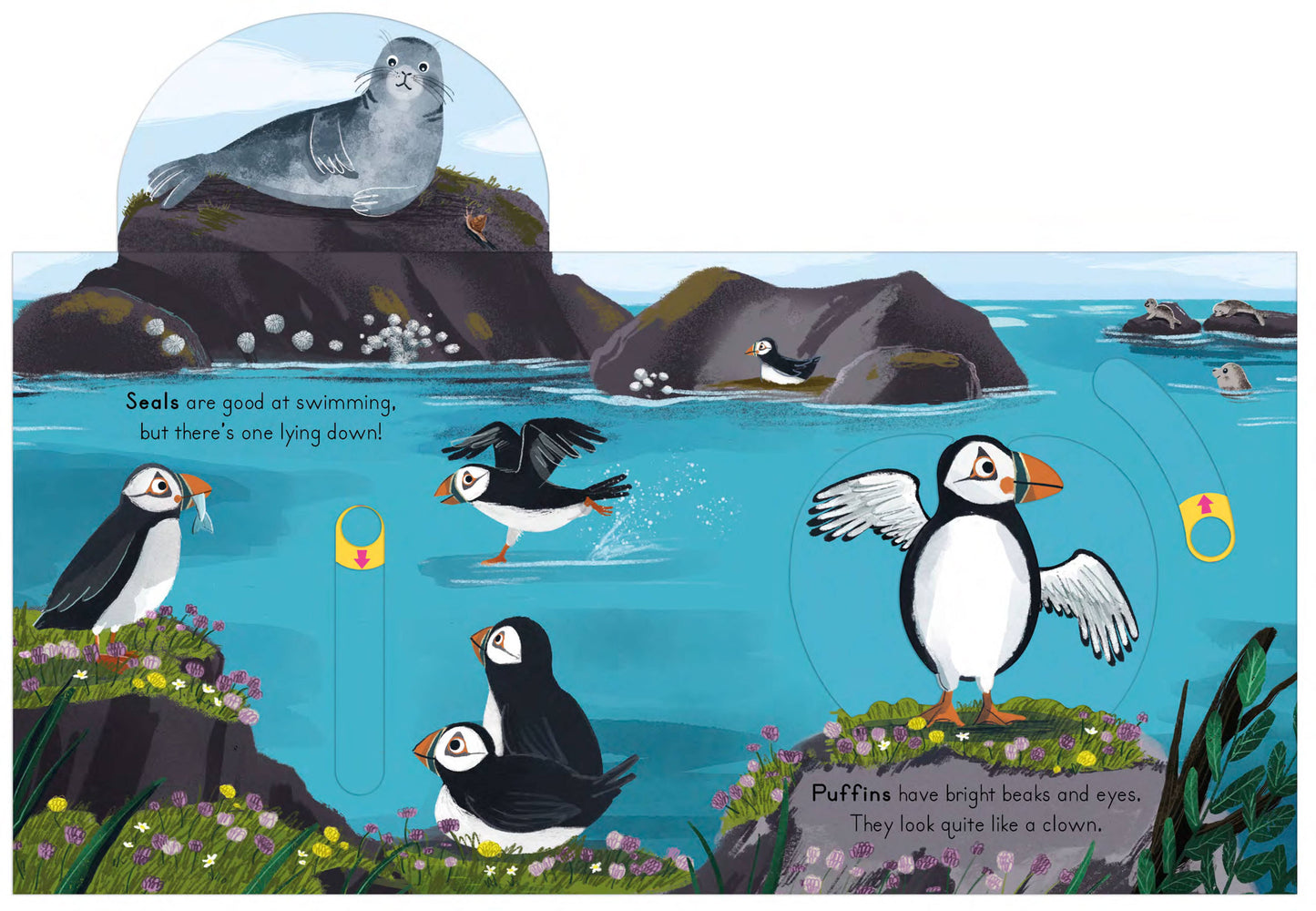 National Trust: Big outdoors Seaside