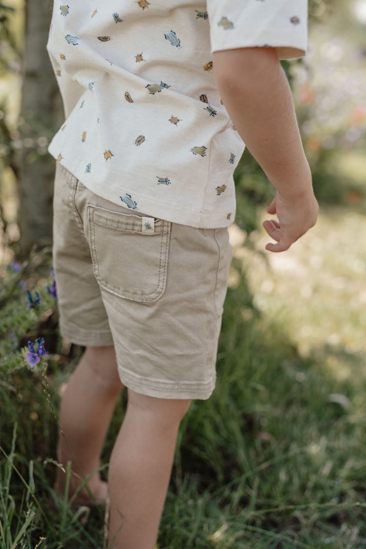 Shirt Short Sleeve - Green - Bugs