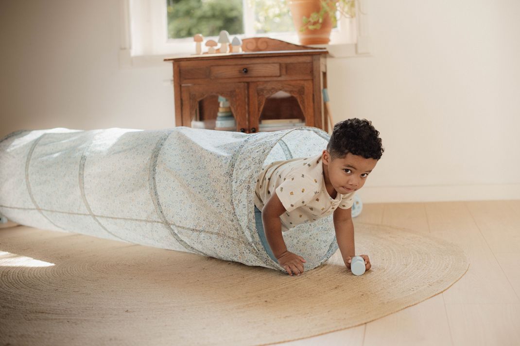 Shirt Short Sleeve - Green - Bugs