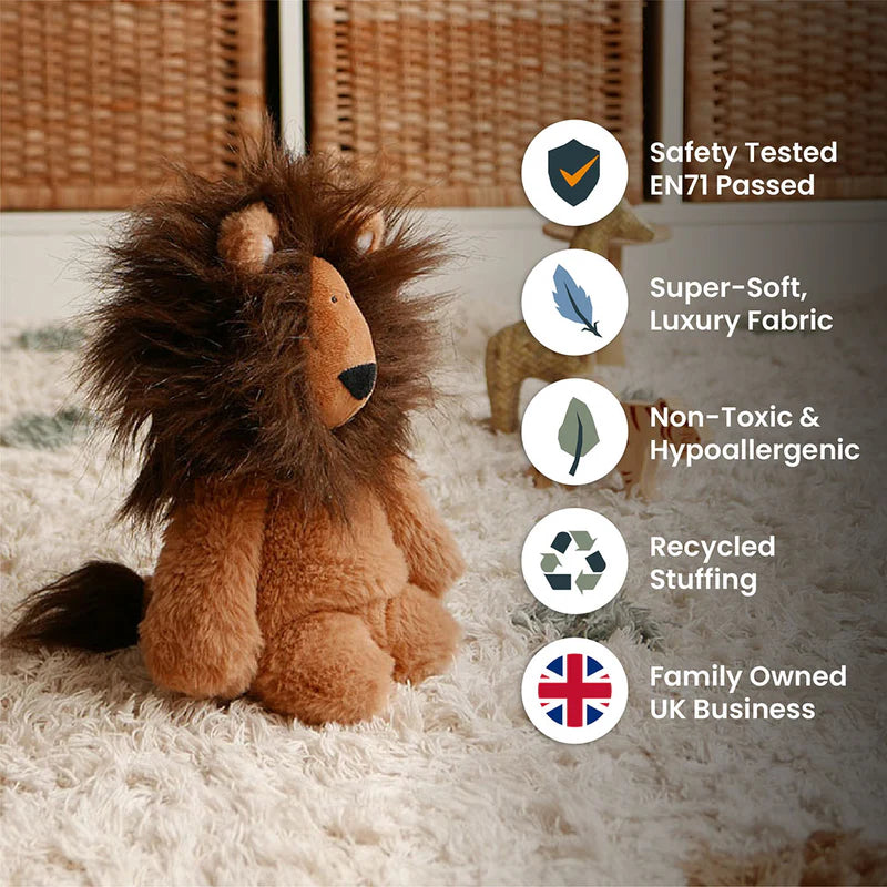 Rory Lion