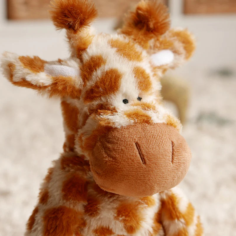 Raffi Giraffe