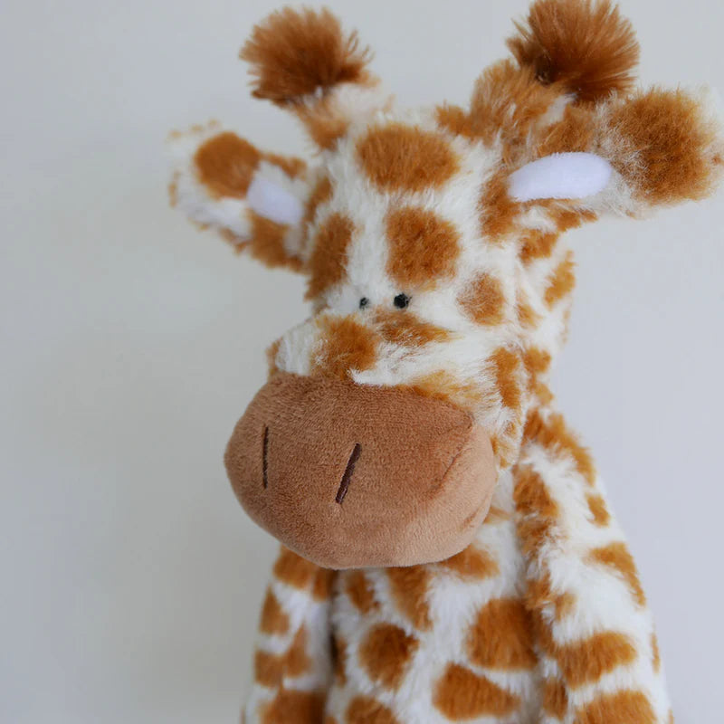 Raffi Giraffe