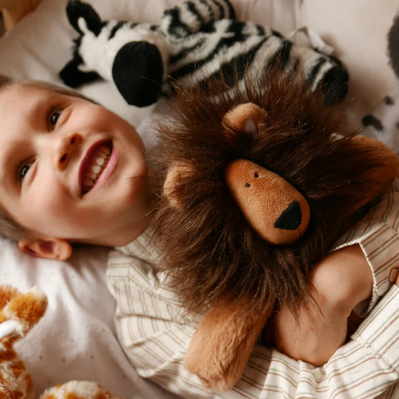 Rory Lion