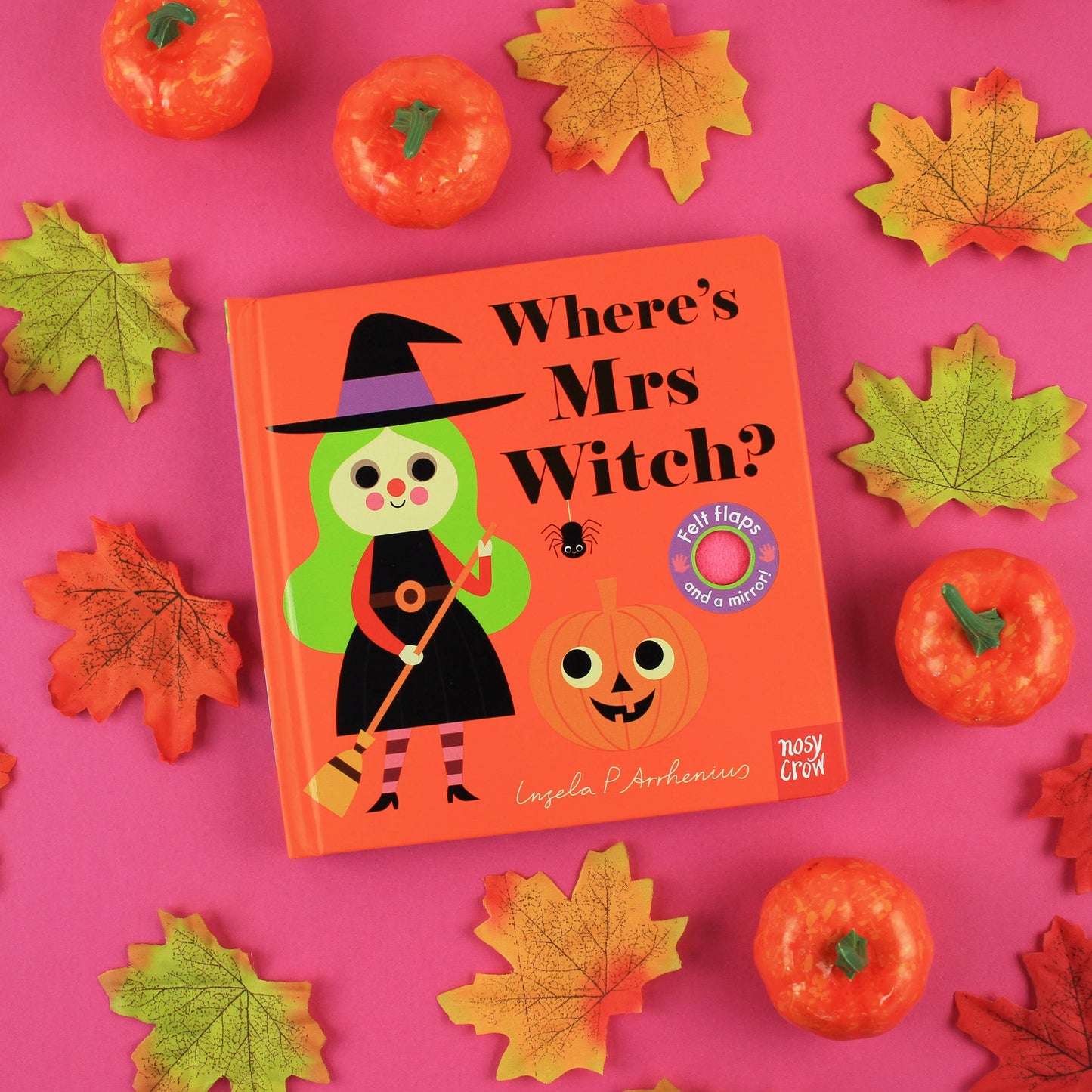 Felt Flaps: Where's Mrs Witch?