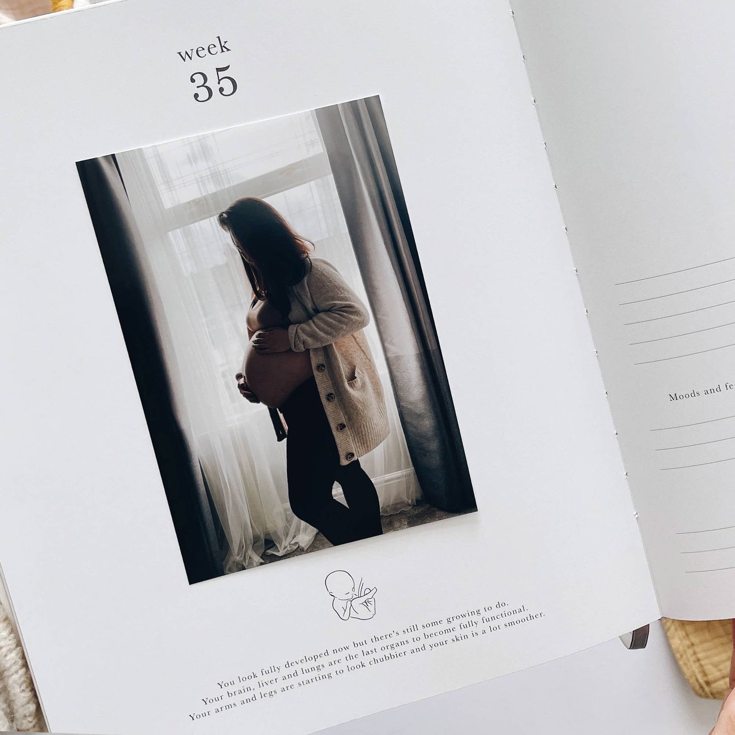 Pregnancy Journal (Animals) expectant mum, parents to be