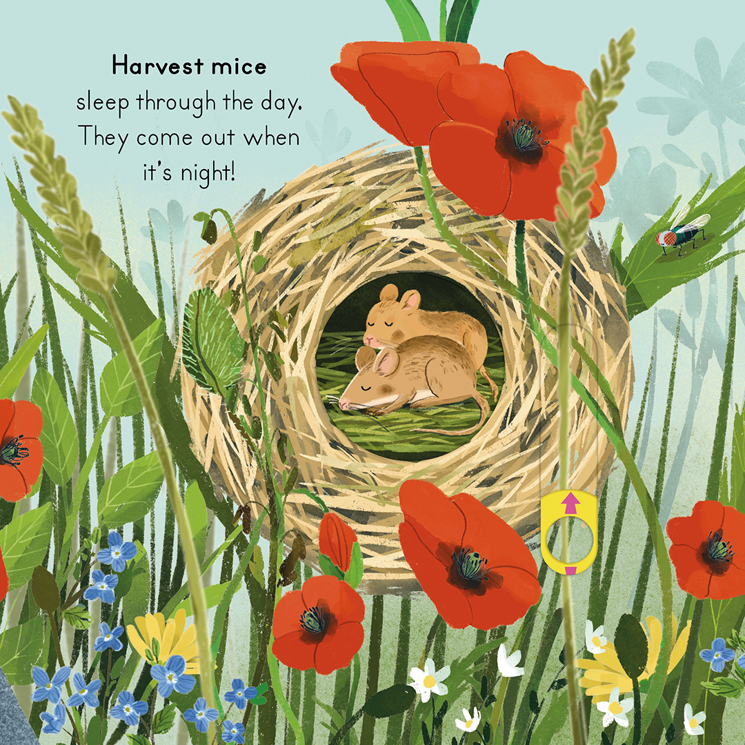 National Trust: Big Outdoors Countryside