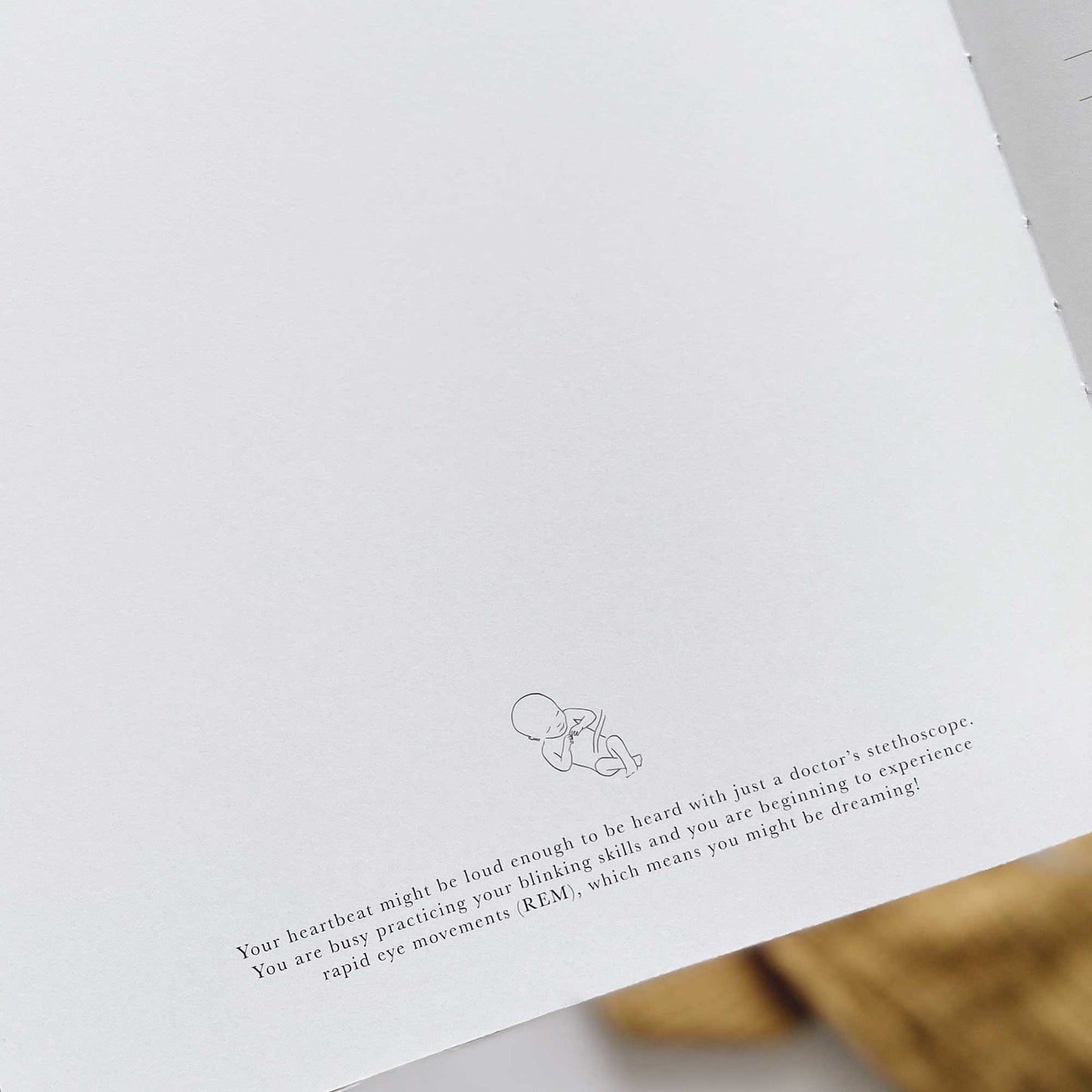 NEW - My Pregnancy Journal - White with Gilded Edges