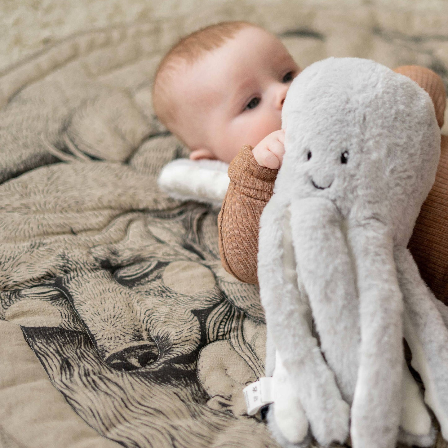 Flow Amsterdam Heartbeat Comforter - Olly Octopus Grey