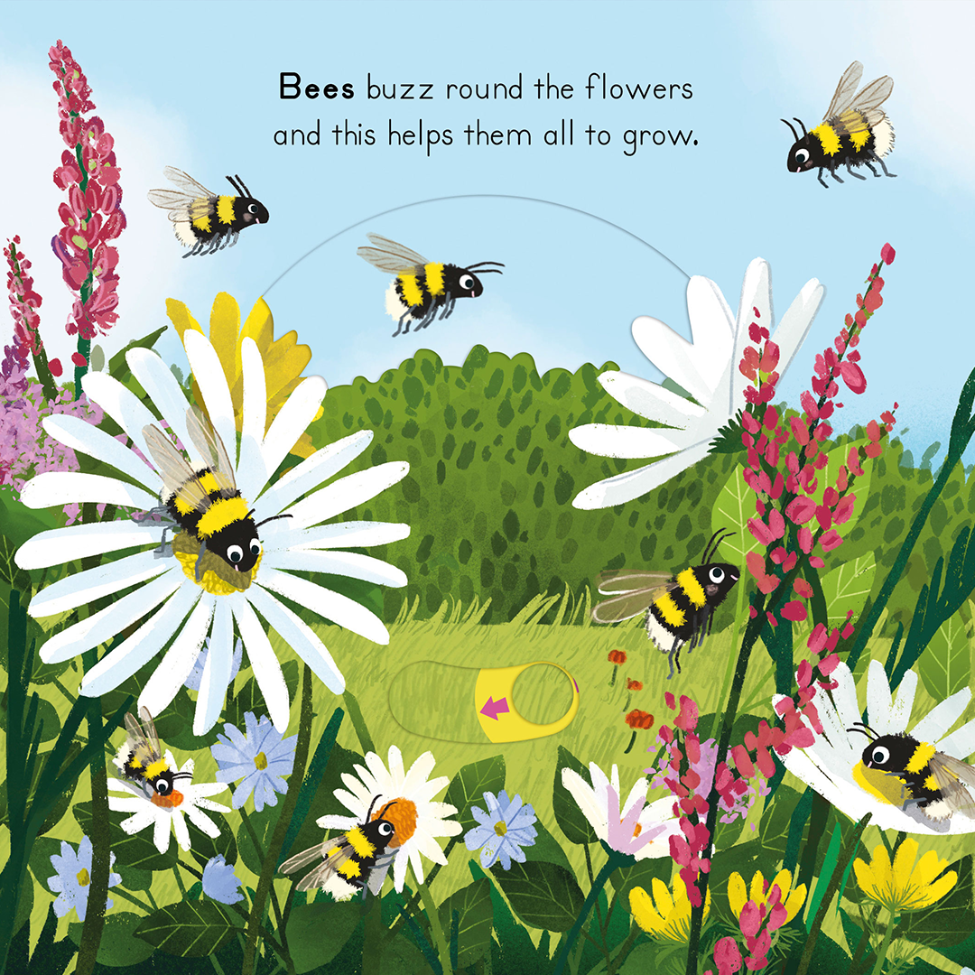 National Trust: Big Outdoors Countryside