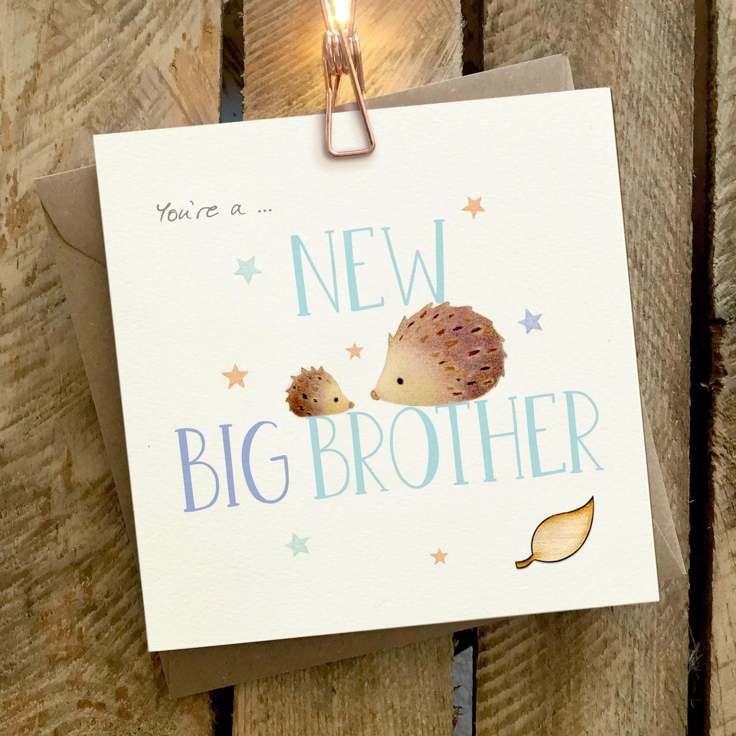 New Big Brother