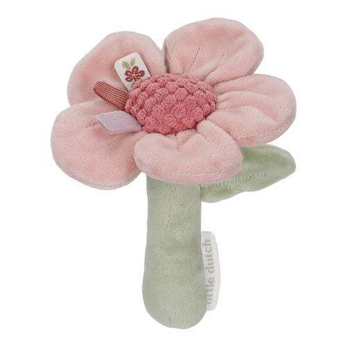 Rattle flower - Fairy Garden