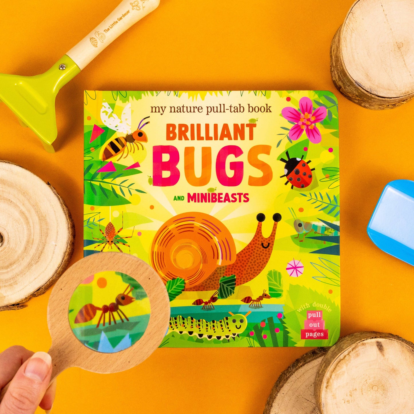 Brilliant Bugs and Minibeasts – My Nature Pull‑Tab Board Book
