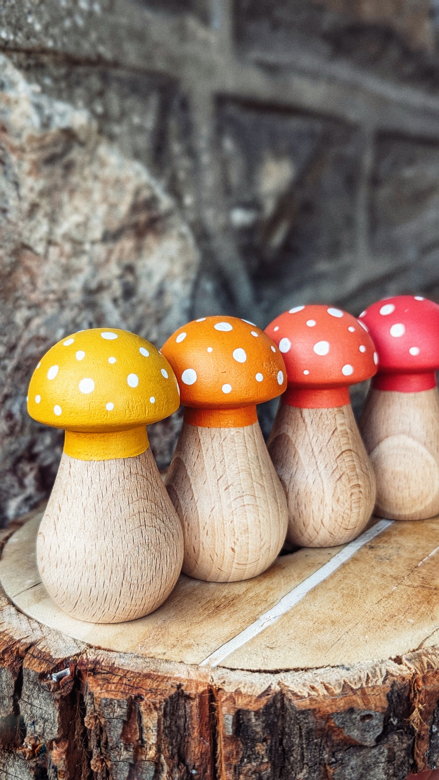 Hand-Painted Wooden Rainbow Toadstools - Set of 4