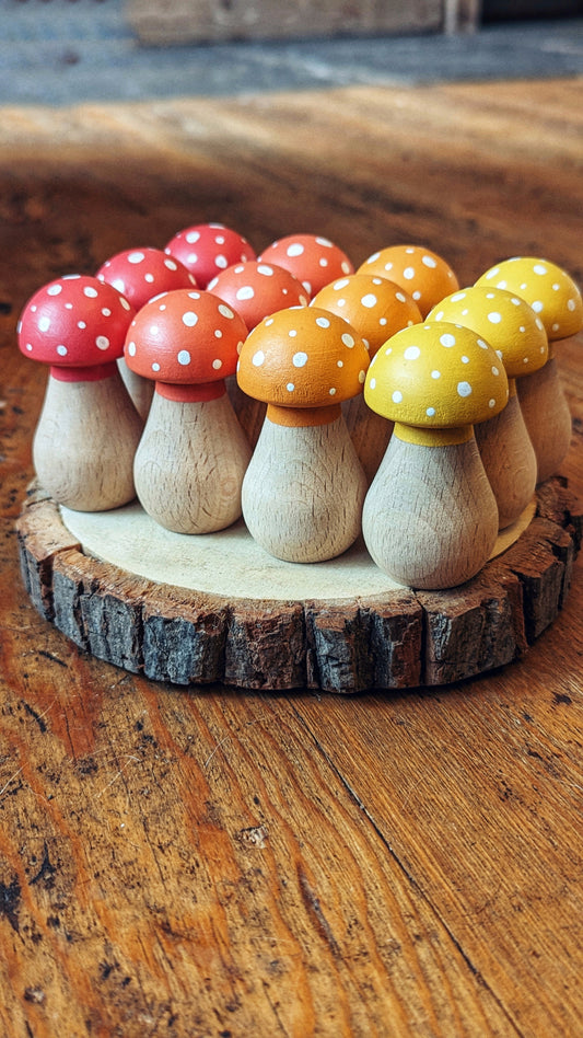 Hand-Painted Wooden Rainbow Toadstools - Set of 4