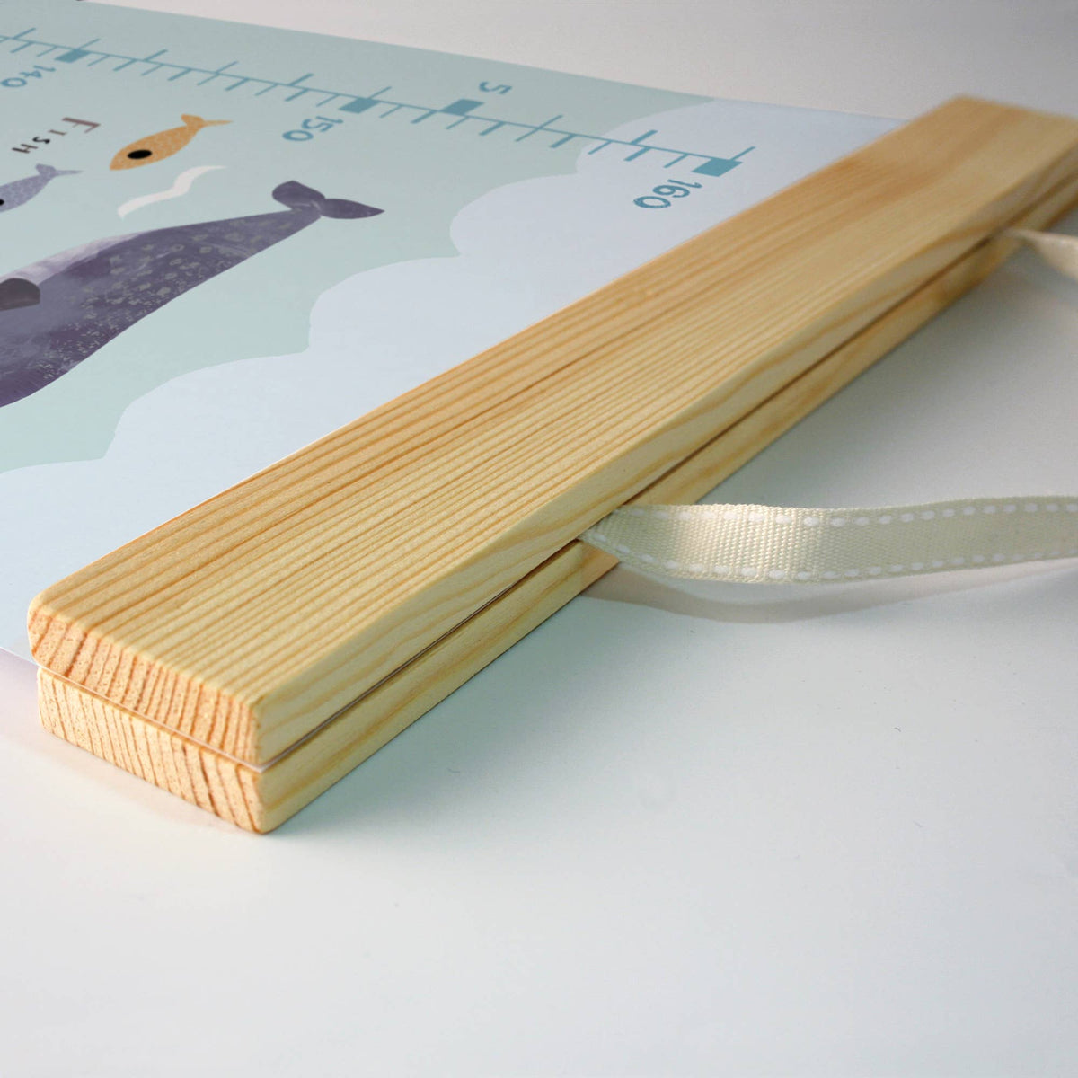 Ocean Growth Height Chart