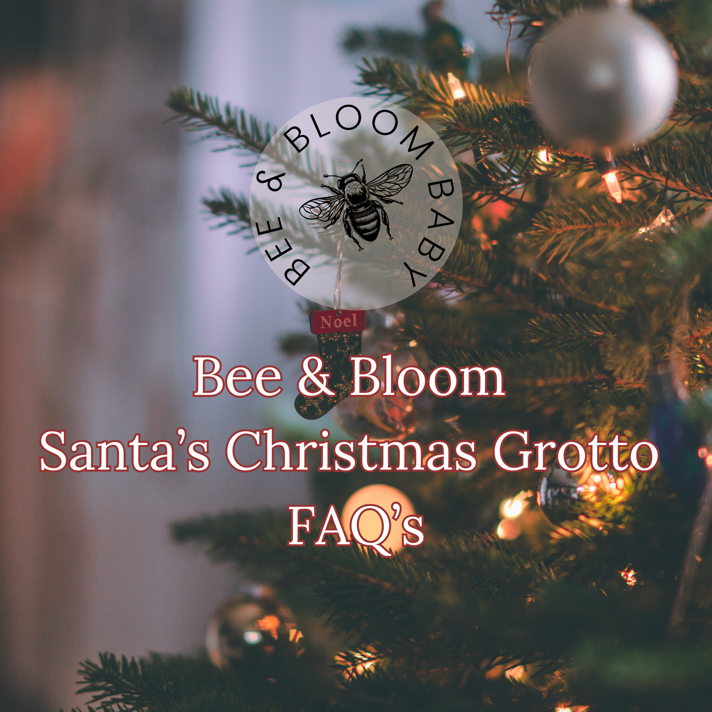 Meet Santa at Bee & Bloom