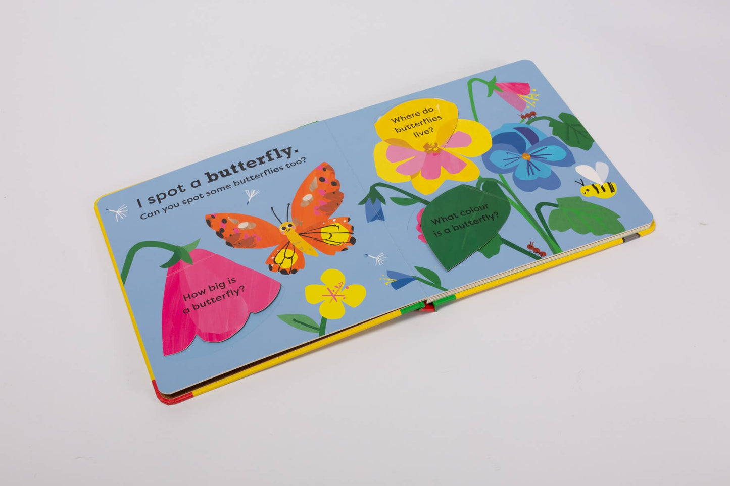 National Trust: My Very First Spotters Guide: I Spot A Snail