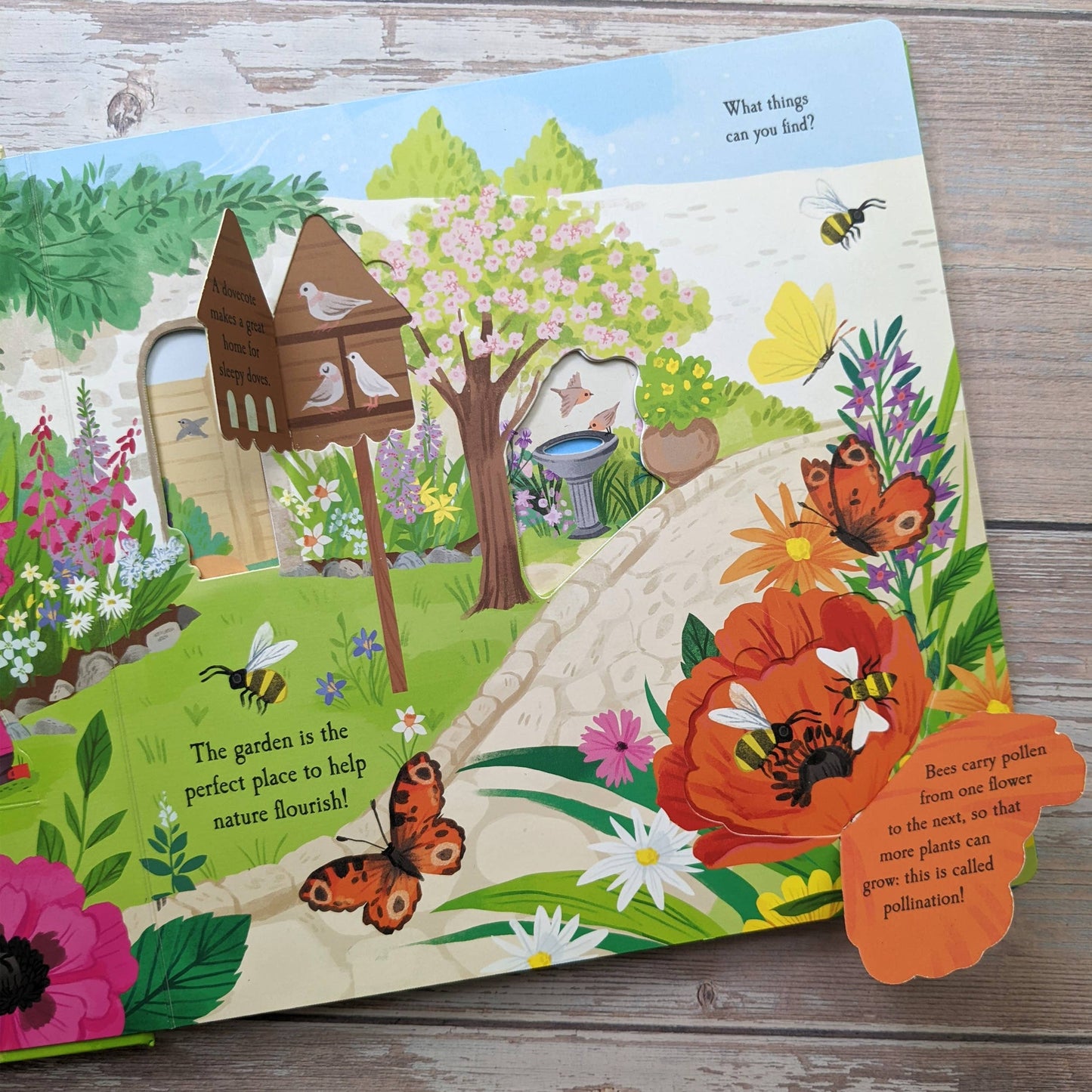 Nature Die Cut Book - Garden