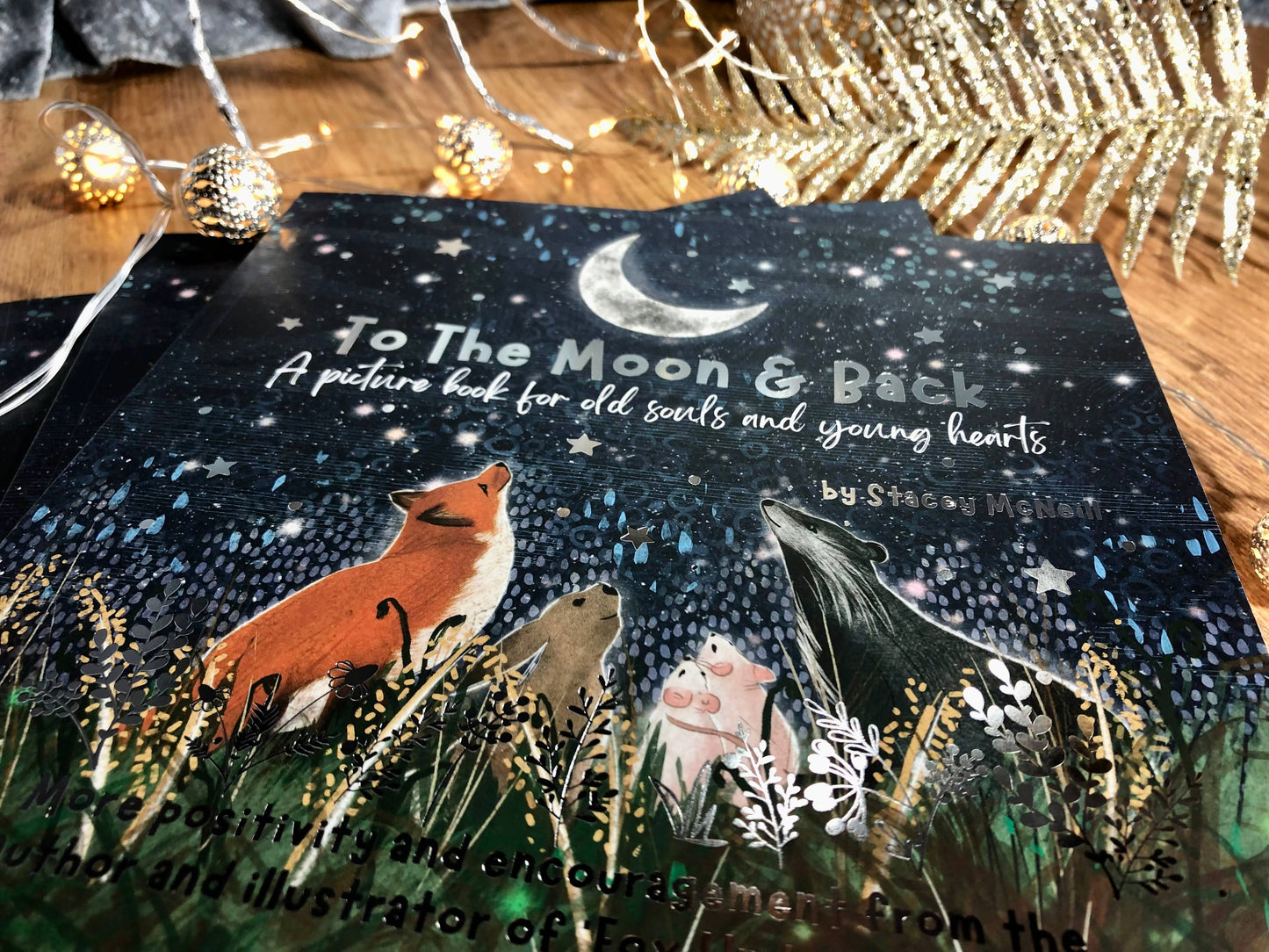 Book:'To The Moon & Back' from 'Fox Under The Moon' (Book 2)