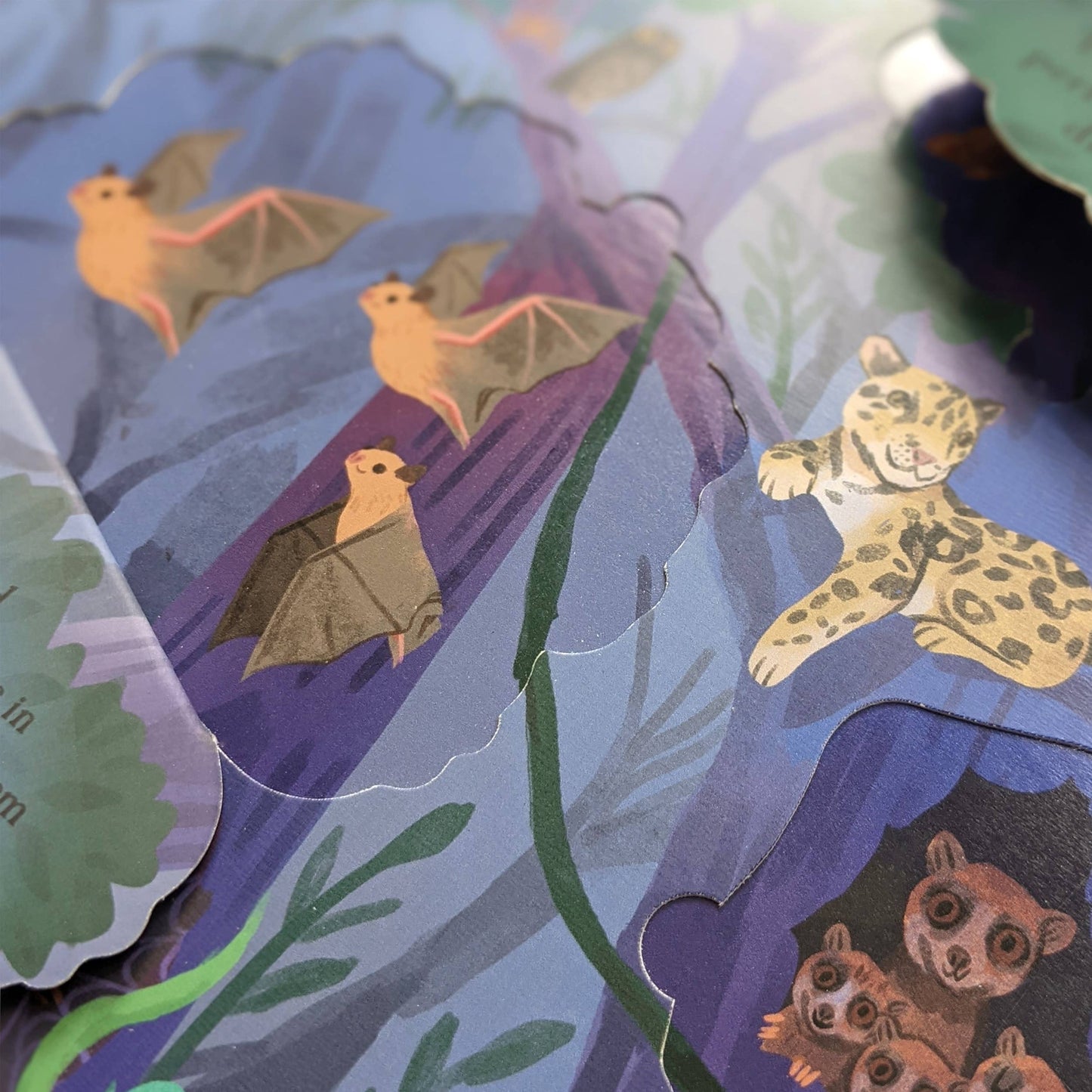 Nature Die Cut Book - Rainforest