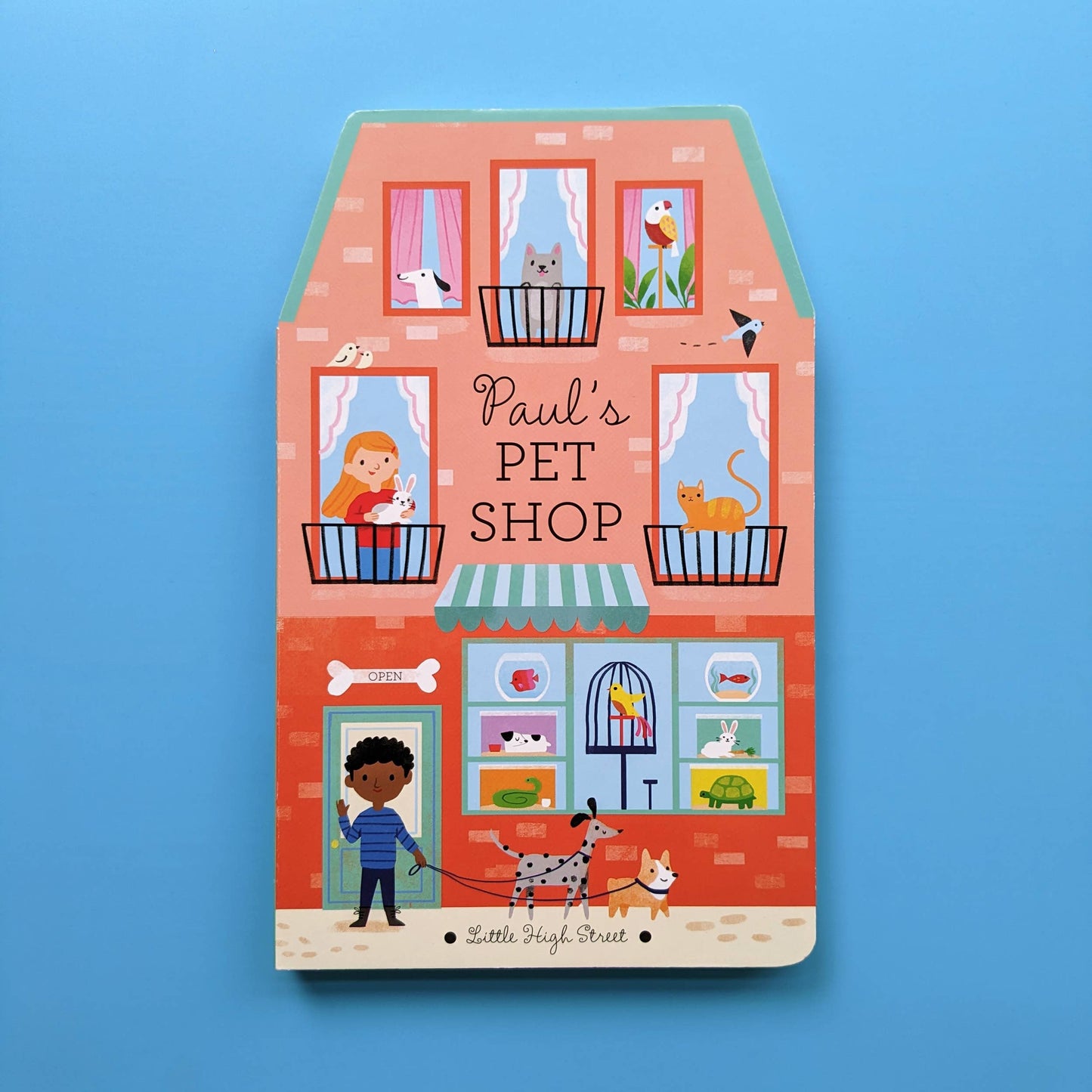 Paul's Pet Shop - Little High Street Book