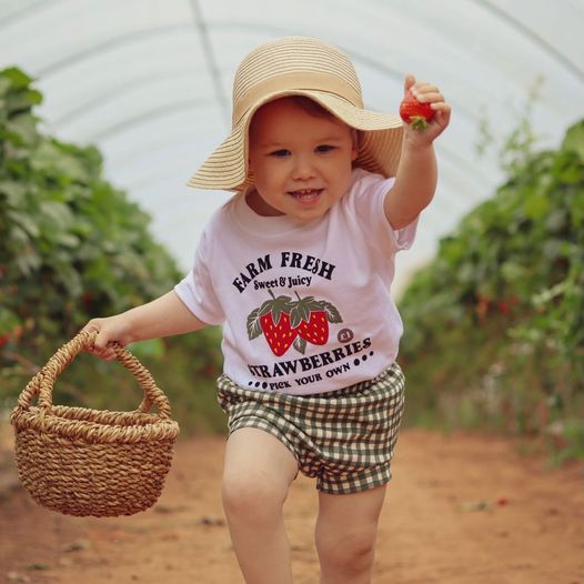 Strawberry Picking T-Shirt