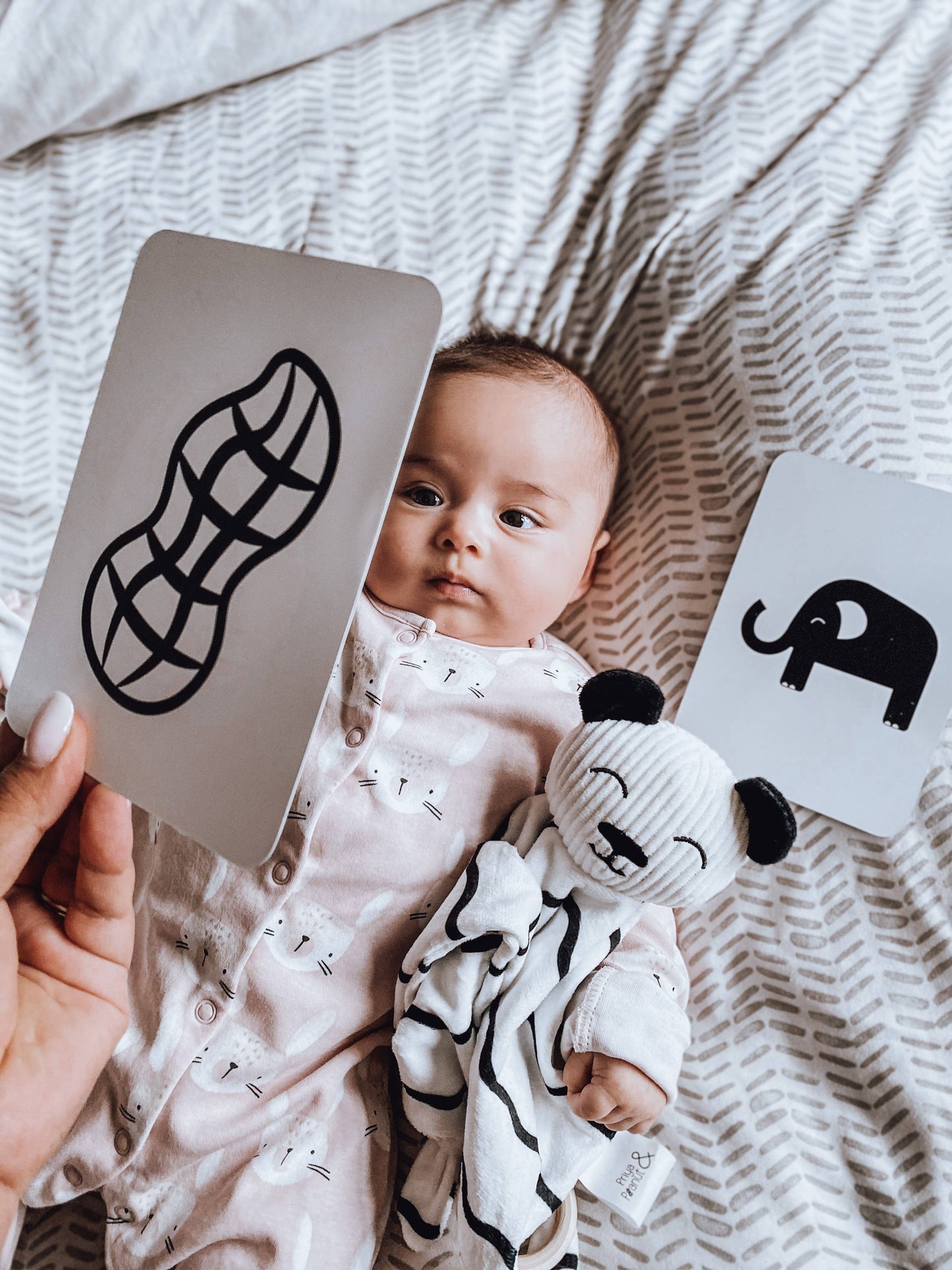 Baby Sensory Cards (0+ Months Old) | Award-Winning Baby Toy