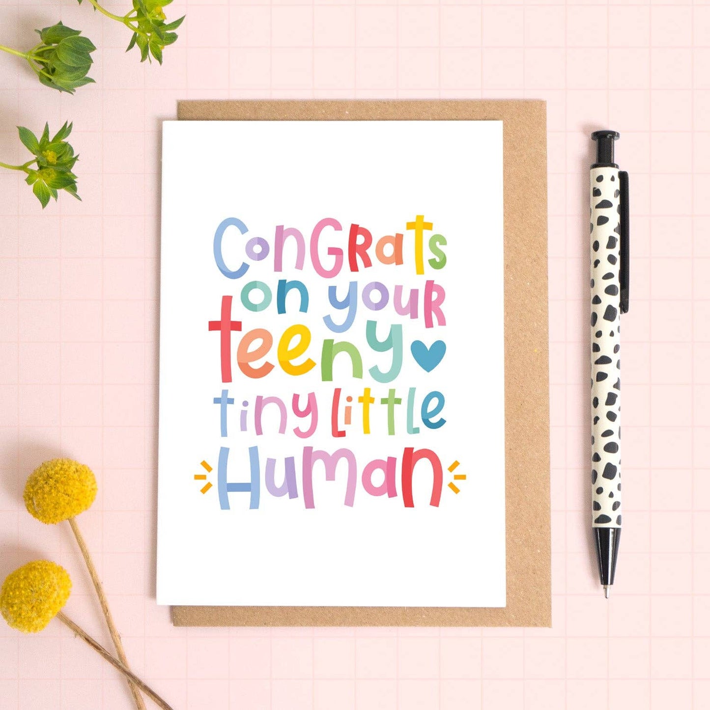 Tiny Little Human New Baby Congratulations Card
