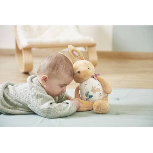 Sound Plush Rabbit