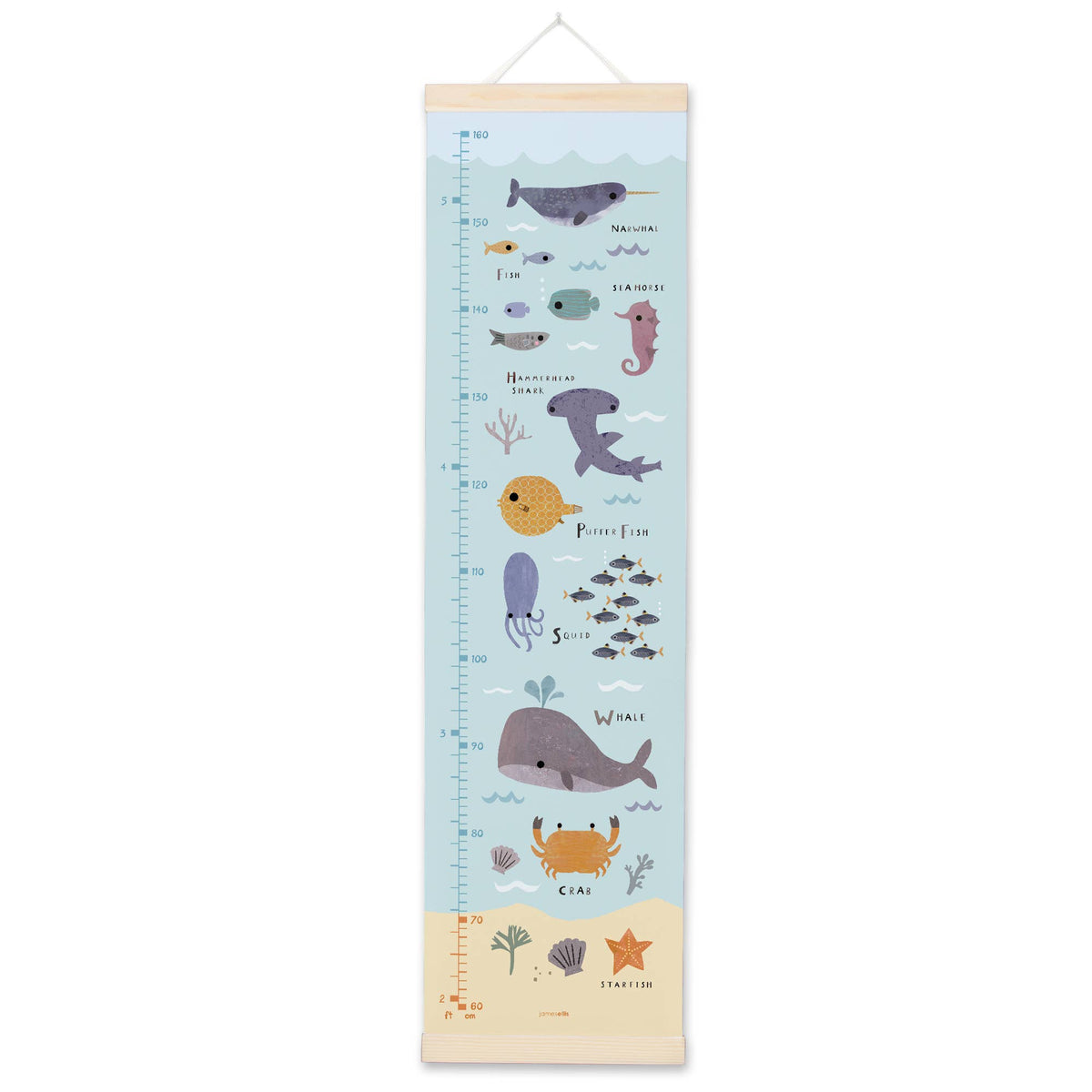 Ocean Growth Height Chart