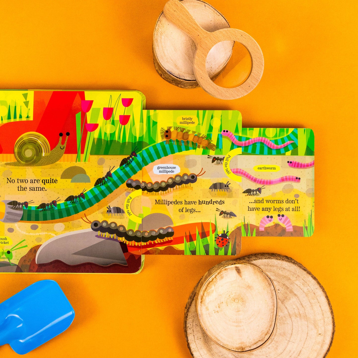 Brilliant Bugs and Minibeasts – My Nature Pull‑Tab Board Book