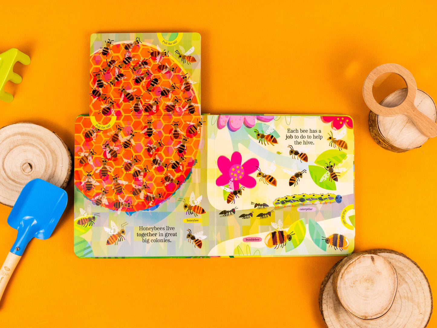 Brilliant Bugs and Minibeasts – My Nature Pull‑Tab Board Book