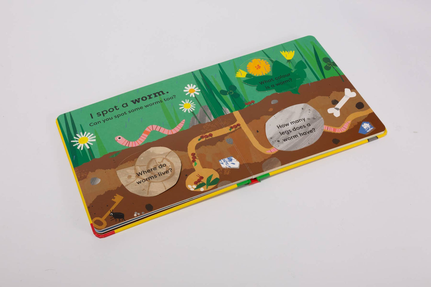 National Trust: My Very First Spotters Guide: I Spot A Snail