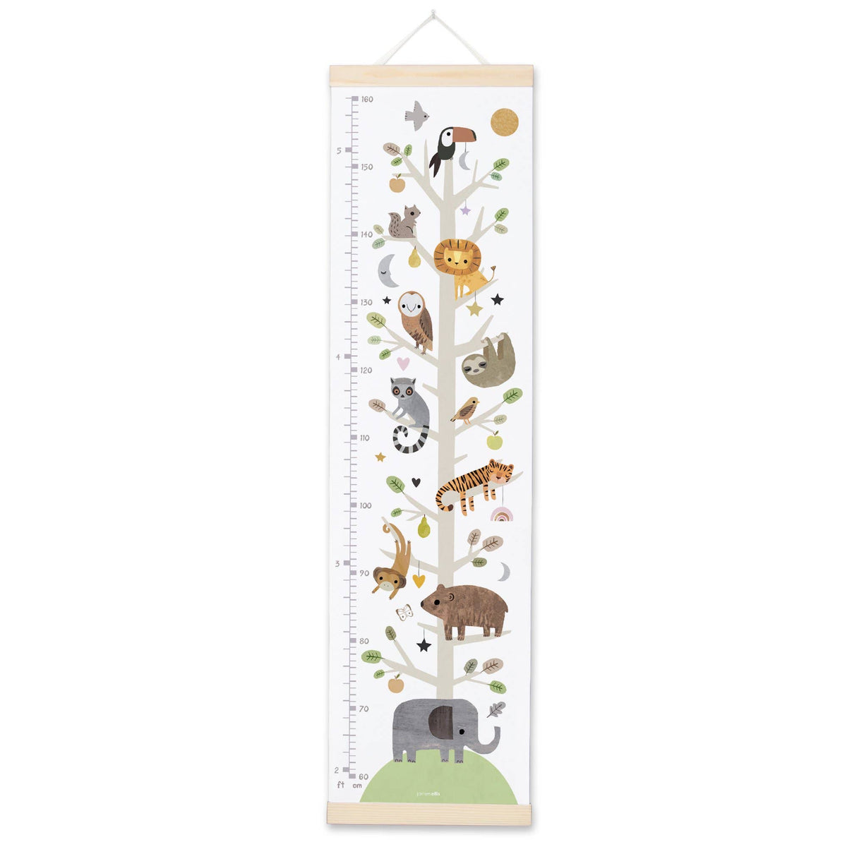 Animal Tree Growth Height Chart