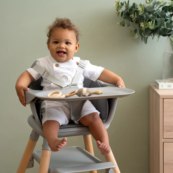 6in1 Eat & Play High Chair